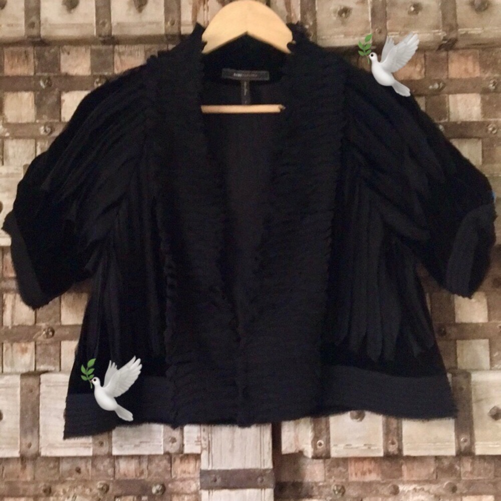 🌳🕊BCBGMaxAzria ~ jacket